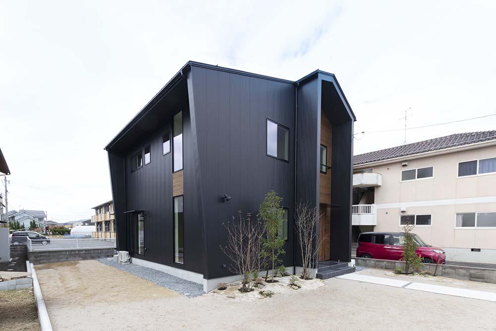 家族のシンボルツリー　これからどんどん大きくなって
