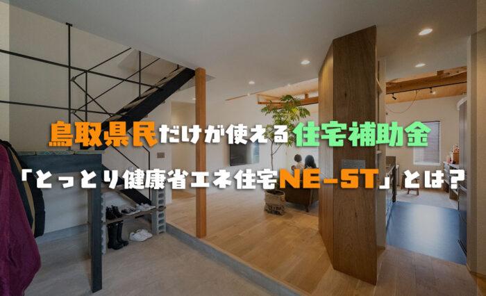 鳥取県民だけが使える住宅補助金を活用した家の土間リビングの写真。小田原工務店は鳥取県米子市で新築・注文住宅・リフォーム・リノベーションを手掛ける地元工務店です。